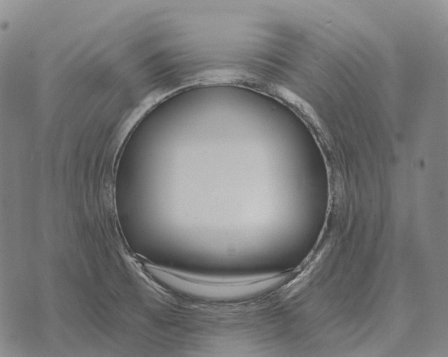 X0000073721473200608311807