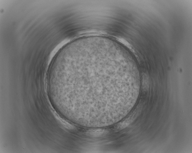 X0000073721474200608311807