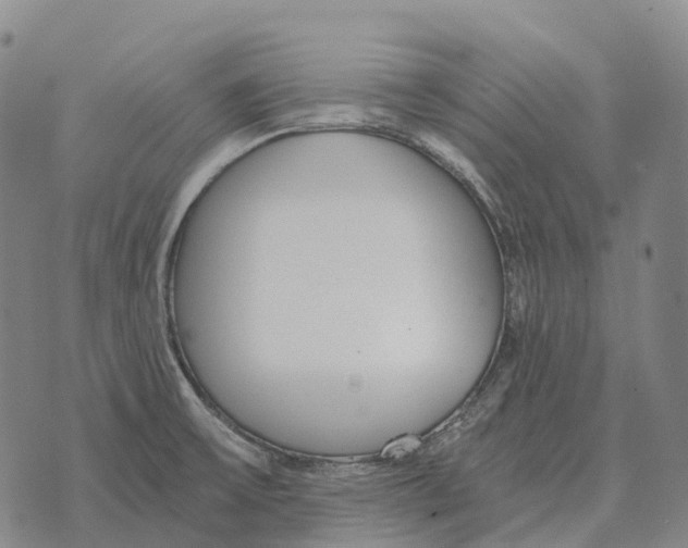 X0000073721475200608311807