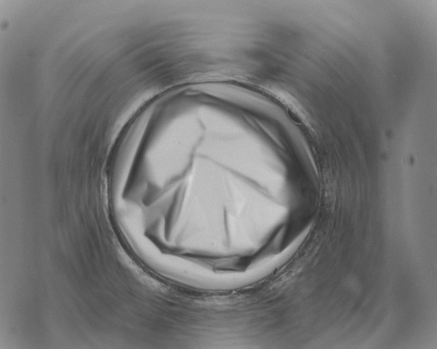 X0000073721476200608311807