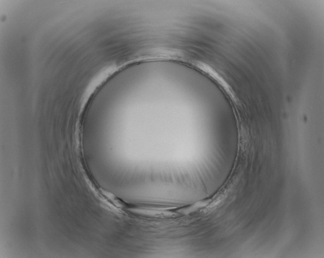 X0000073721477200608311807