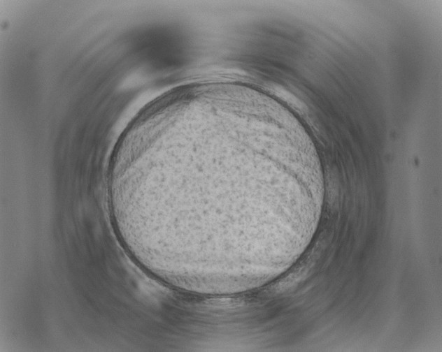 X0000073721478200608311807