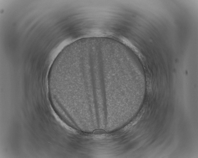 X0000073721479200608311807