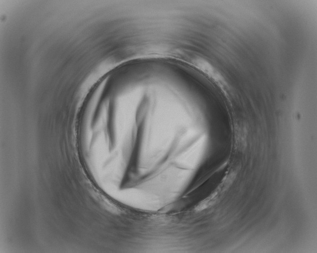 X0000073721480200608311807