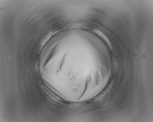 X0000073721481200608311807