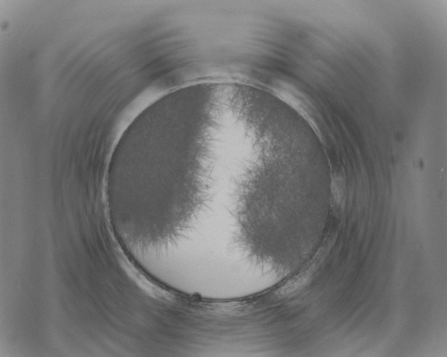 X0000073721482200608311807