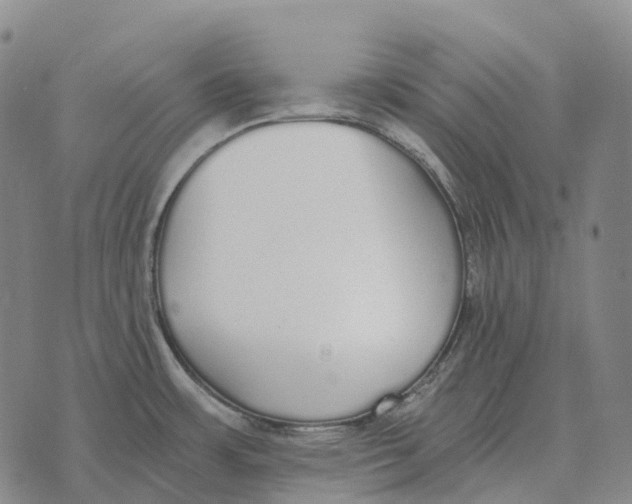 X0000073721483200608311807