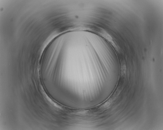 X0000073721484200608311807