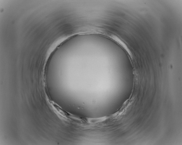 X0000073721485200608311807