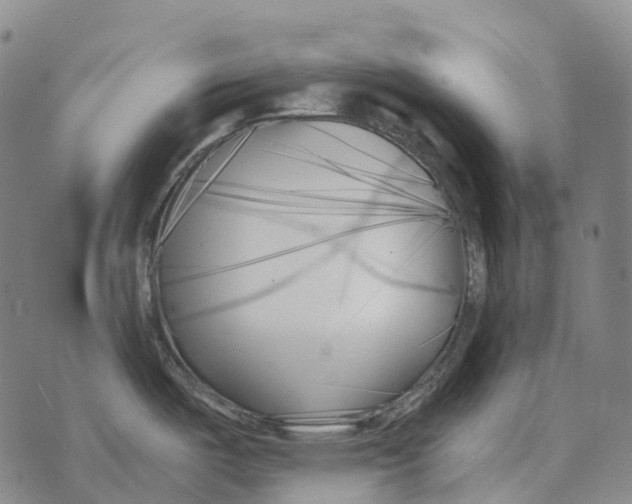 X0000073721487200608311807