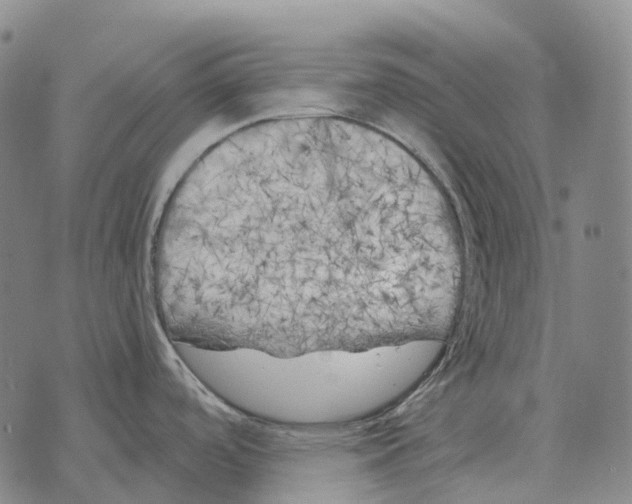 X0000073721488200608311807