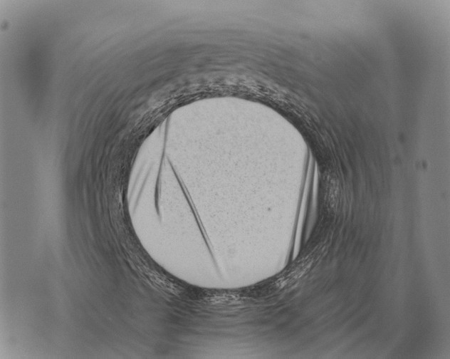 X0000073721489200608311806