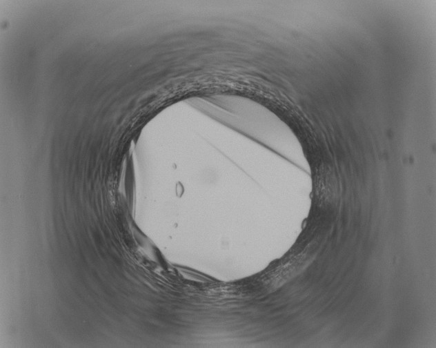 X0000073721490200608311806