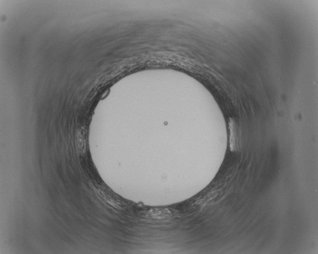 X0000073721491200608311806