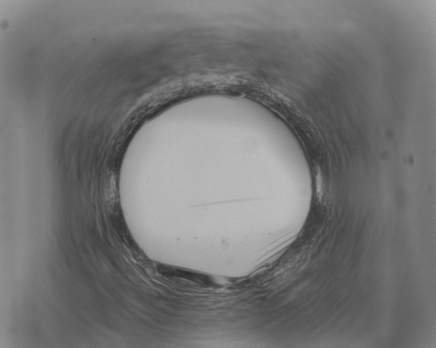 X0000073721492200608311806