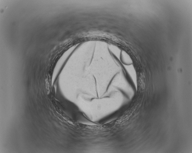 X0000073721493200608311806