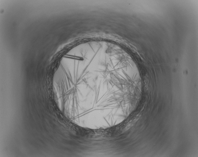 X0000073721494200608311806