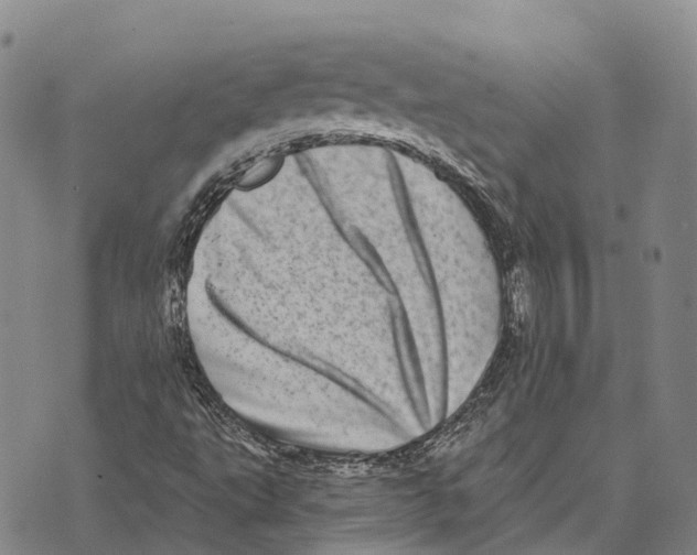 X0000073721495200608311806