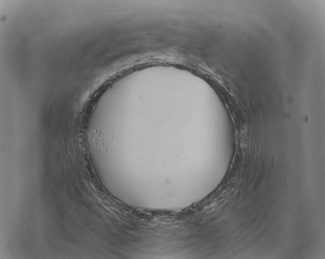 X0000073721496200608311806