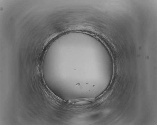 X0000073721497200608311806