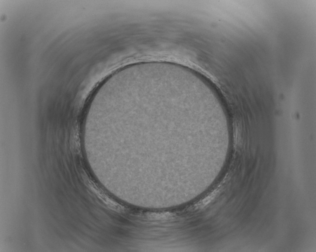 X0000073721498200608311806