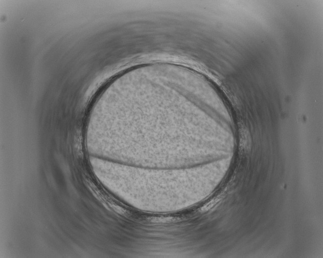 X0000073721499200608311806