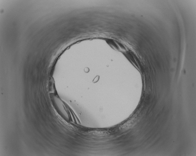 X0000073721500200608311806