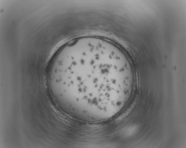 X0000073721501200608311806