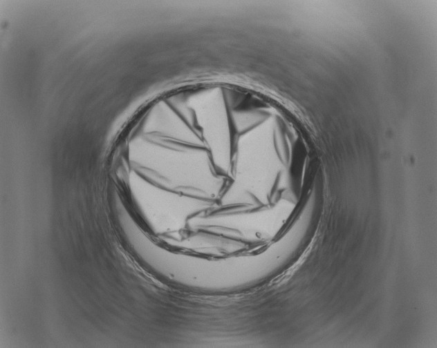 X0000073721502200608311806