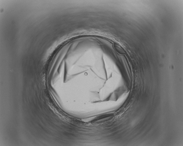 X0000073721503200608311806