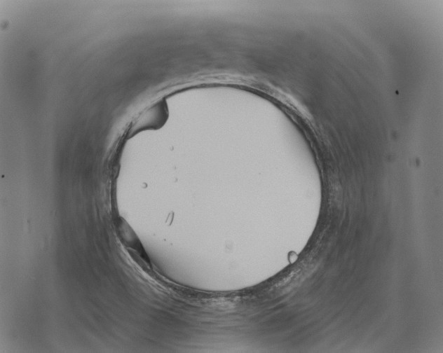 X0000073721504200608311806