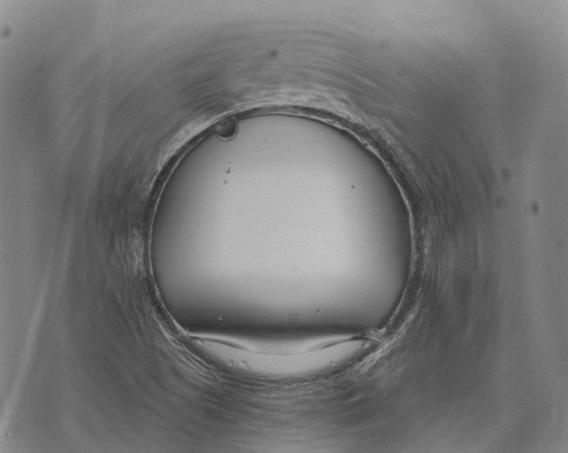 X0000073721505200608311806