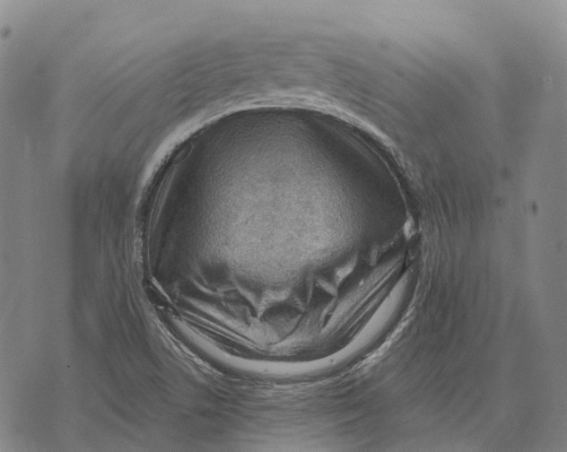 X0000073721506200608311806