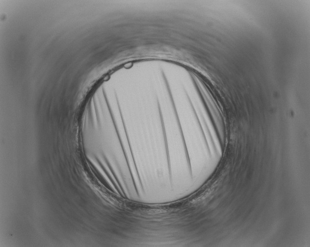 X0000073721507200608311806