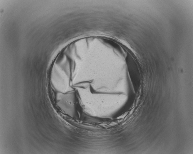 X0000073721508200608311806