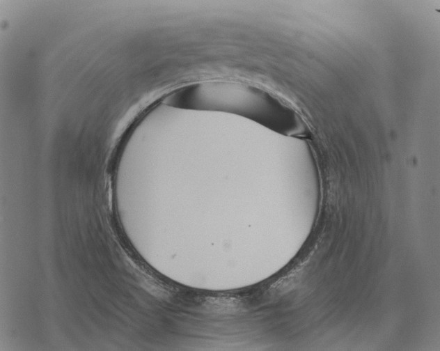 X0000073721509200608311806