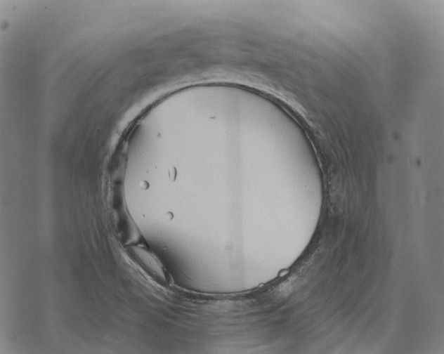 X0000073721510200608311806