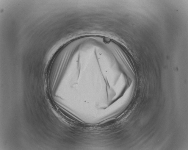 X0000073721511200608311807