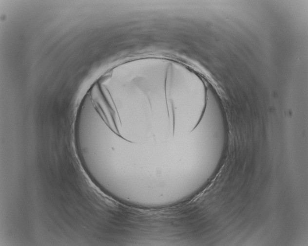 X0000073721512200608311807