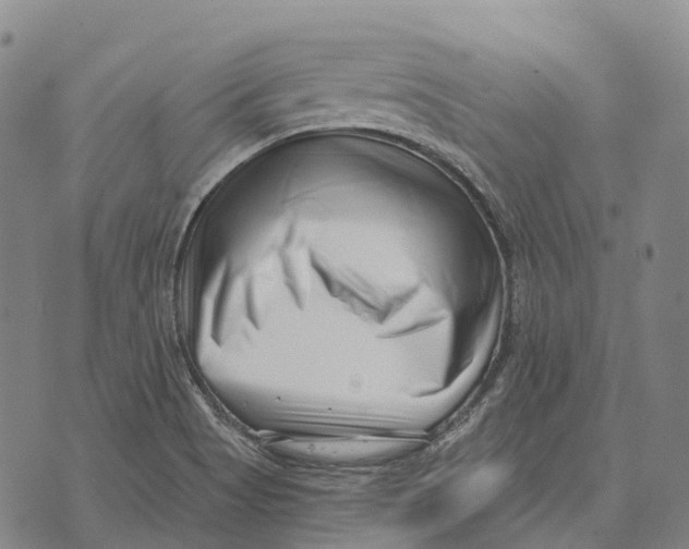 X0000073721513200608311807