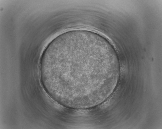 X0000073721514200608311807