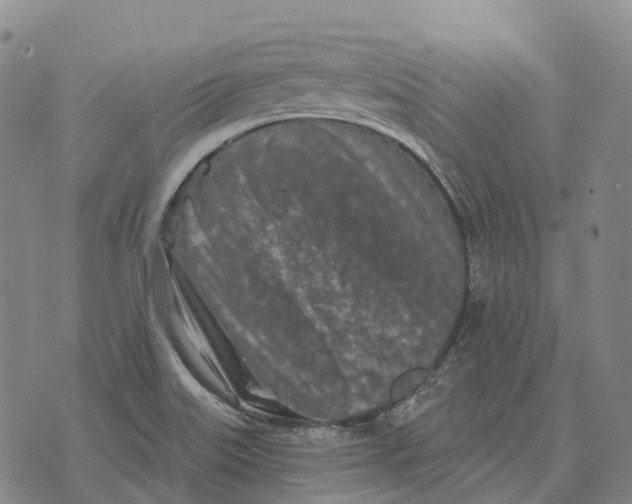 X0000073721515200608311807