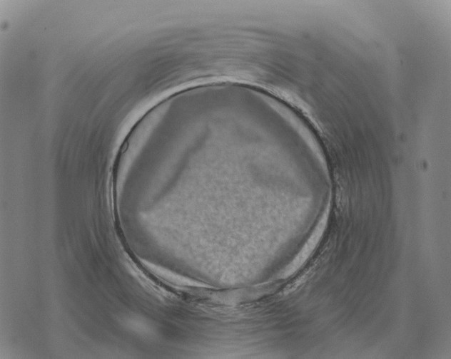 X0000073721516200608311807