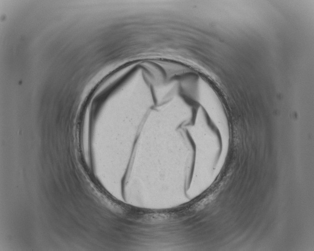 X0000073721517200608311807