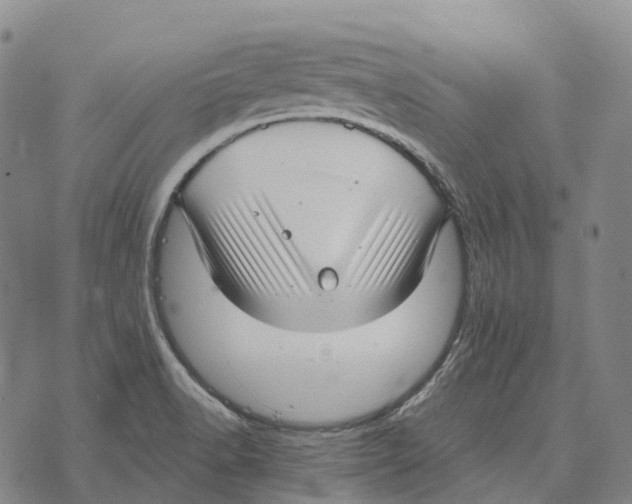 X0000073721518200608311807