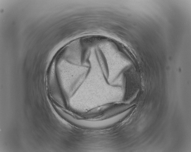 X0000073721519200608311807