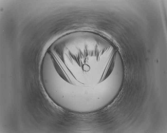 X0000073721520200608311807