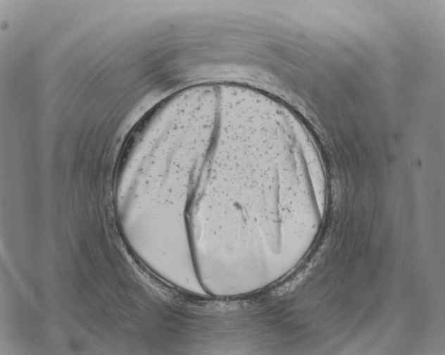 X0000073721521200608311807