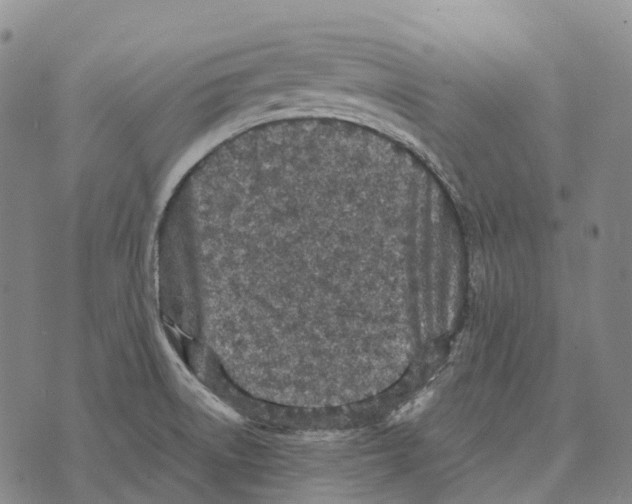 X0000073721522200608311807