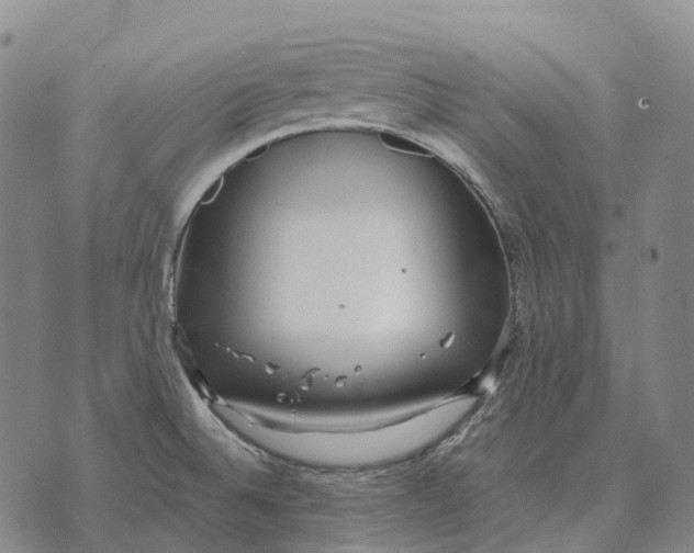 X0000073721524200608311807